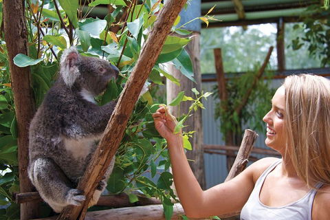 Private Guided Tour: Blue Mountains Tour From Sydney - Tourism Cairns 5