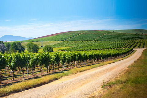 Full Day Tamar Valley Wine Tour - Tourism Cairns 1