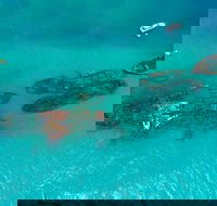 Private Tangalooma Wrecks Tour - Tourism Cairns