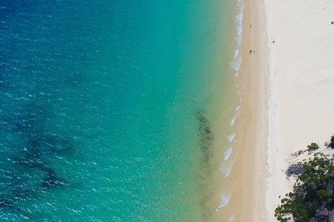 Private Tangalooma Wrecks Tour - Tourism Cairns 1