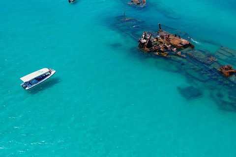 Private Tangalooma Wrecks Tour - Tourism Cairns 4