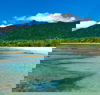 8-Day Cairns Tour Great Barrier Reef Kuranda Daintree Rainforest - Tourism Cairns