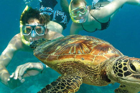 8-Day Cairns Tour: Great Barrier Reef, Kuranda, Daintree Rainforest - Tourism Cairns 1