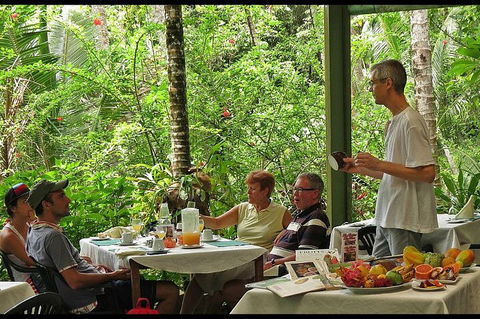 8-Day Cairns Tour: Great Barrier Reef, Kuranda, Daintree Rainforest - Tourism Cairns 4