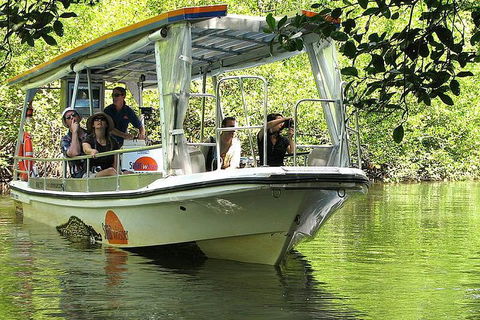 3-Day Best Of Cairns Combo: The Daintree Rainforest, Great Barrier Reef, And Kuranda - Tourism Cairns 4