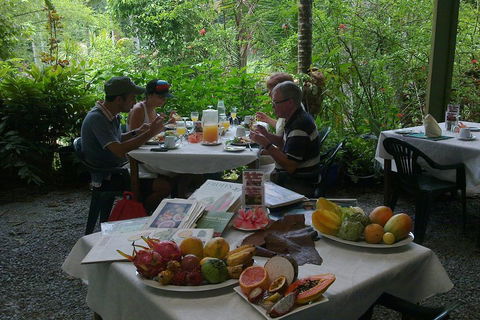 3-Day Best Of Cairns Combo: The Daintree Rainforest, Great Barrier Reef, And Kuranda - Tourism Cairns 5