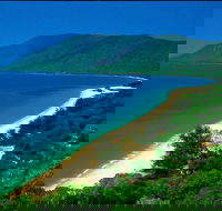 Cairns Reef and Rainforest Combo Daintree Rainforest and the Great Barrier Reef - Tourism Cairns