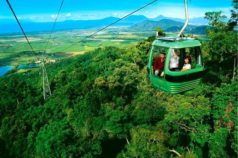 4-Day Cairns Ultimate Combo: Daintree Rainforest, Reef, Kuranda & Paronella Park - Tourism Cairns 1