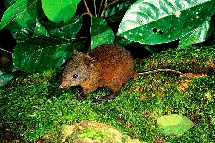  Tourism Cairns
