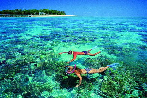 4-Day Cairns With Great Barrier Reef And Daintree Rainforest - Tourism Cairns 2