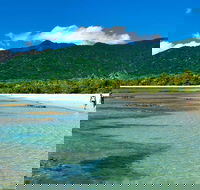 Private Daintree National Park Day Tour from Cairns Including Cape Tribulation and Mossman Gorge - Tourism Cairns
