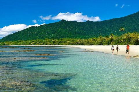 Private Daintree National Park Day Tour From Cairns Including Cape Tribulation And Mossman Gorge - Tourism Cairns 0