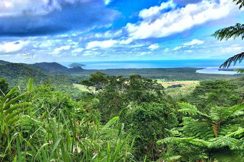 Private Daintree National Park Day Tour From Cairns Including Cape Tribulation And Mossman Gorge - Tourism Cairns 2