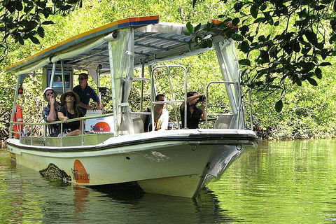 Private Daintree National Park Day Tour From Cairns Including Cape Tribulation And Mossman Gorge - Tourism Cairns 5