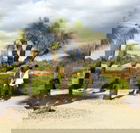 1 Day Exclusively Private Tour Of Phillip Island  The Penguin Parade - Tourism Cairns