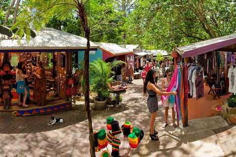 Kuranda Day Trip From Port Douglas Upgrade To Skyrail & Scenic Train Available - Tourism Cairns 2