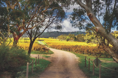 McLaren Vale Winery Small Group Tour With Wine Tasting And Lunch - Tourism Cairns 1