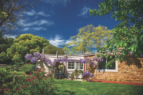 McLaren Vale Winery Small Group Tour With Wine Tasting And Lunch - Tourism Cairns 2