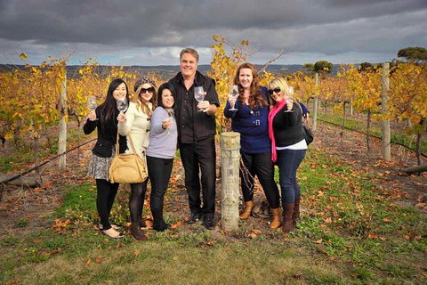 McLaren Vale Winery Small Group Tour With Wine Tasting And Lunch - Tourism Cairns 3