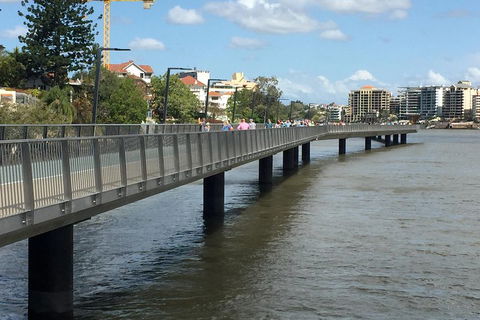 Brisbane City Highlights With Lone Pine! - Tourism Cairns 1