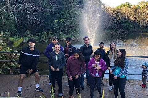 Natural Bridge, Skywalk And Mt Tamborine Adventure! - Tourism Cairns 4