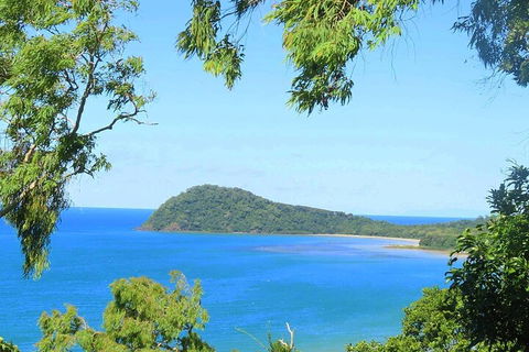 Full Day Tour In The Daintree - Tourism Cairns 1