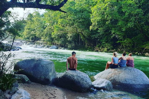 Full Day Tour In The Daintree - Tourism Cairns 3