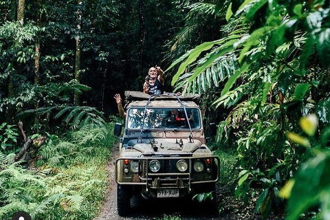 Full Day Tour In The Daintree - Tourism Cairns 4