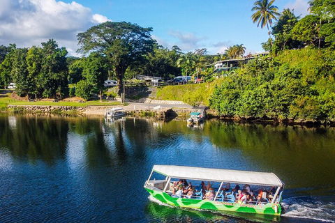 Afternoon Half-Day Daintree Rainforest And River Tour - Tourism Cairns 1