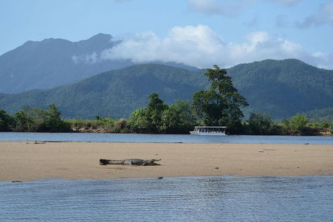 Afternoon Half-Day Daintree Rainforest And River Tour - Tourism Cairns 2