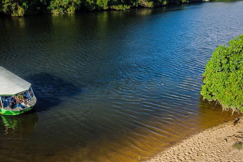 Afternoon Half-Day Daintree Rainforest And River Tour - Tourism Cairns 3
