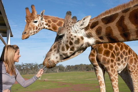 Melbourne City Card (2 Days): Visit Unlimited Attractions! - Tourism Cairns 1