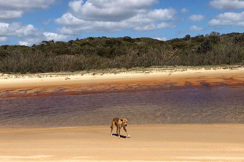 Pippies 3 Days 2 Nights Fraser Island Tour - Tourism Cairns 2