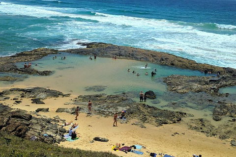Pippies 3 Days 2 Nights Fraser Island Tour - Tourism Cairns 5