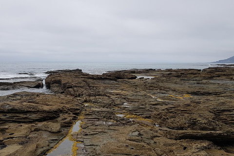 Luxury Private Great Ocean Road Tour Up To 11 People - Entire Vehicle - Tourism Cairns 1