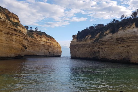 Luxury Private Great Ocean Road Tour Up To 11 People - Entire Vehicle - Tourism Cairns 2