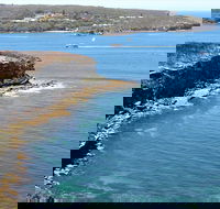 Half day Manly Beach and more