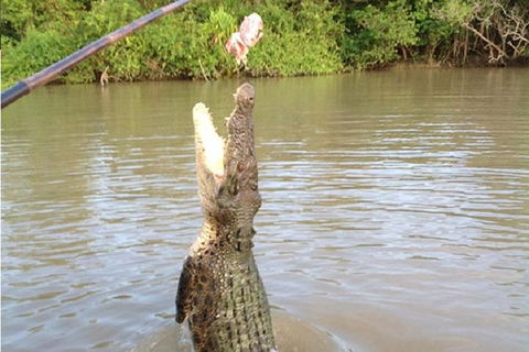 Litchfield National Park And Jumping Crocodile Cruise - Tourism Cairns 2