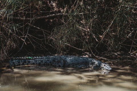 Kakadu Full-Day Tour From Darwin With Lunch - Tourism Cairns 4