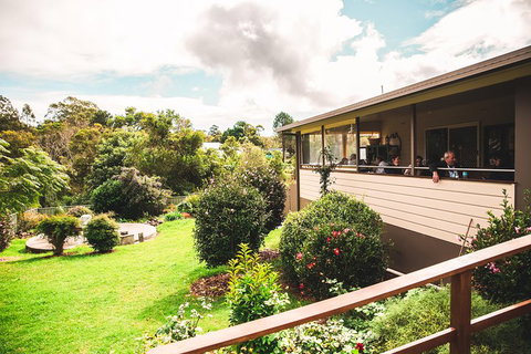 Full-day Springbrook National Park Tour From The Gold Coast - Tourism Cairns 2