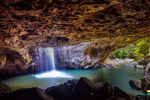 Full-day Springbrook National Park Tour From The Gold Coast - Tourism Cairns 3