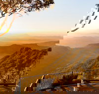 O'Reilly's  Lamington National Park incl. Alpaca Farm  Vineyard - Tourism Cairns