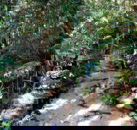 Fraser Island 4WD Tour from Rainbow Beach - Tourism Cairns