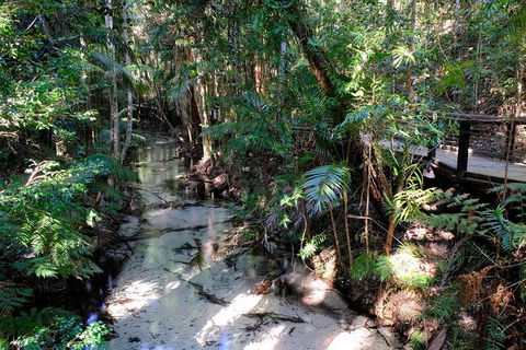 Fraser Island 4WD Tour From Rainbow Beach - Tourism Cairns 0