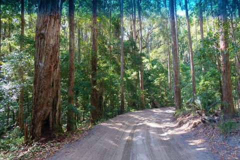 Fraser Island 4WD Tour From Rainbow Beach - Tourism Cairns 4