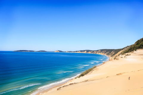 Kayak With Dolphins And 4WD Great Beach Drive Day Trip From Noosa - Tourism Cairns 0