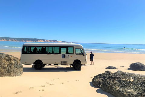 Kayak With Dolphins And 4WD Great Beach Drive Day Trip From Noosa - Tourism Cairns 4