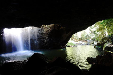 Rainforest & Waterfalls Extravaganza - Tourism Cairns 0