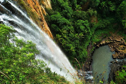 Rainforest & Waterfalls Extravaganza - Tourism Cairns 1