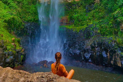 Rainforest & Waterfalls Extravaganza - Tourism Cairns 2